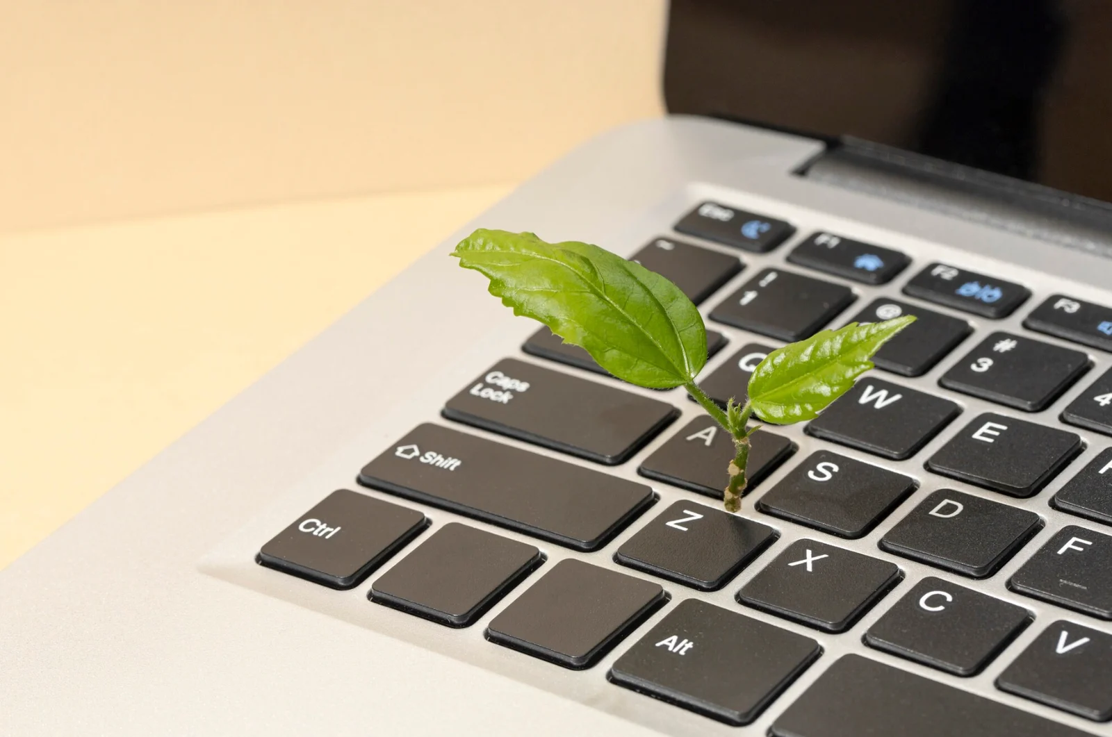 7 innovations en Green IT qui rendent l'informatique plus durable et écoresponsable